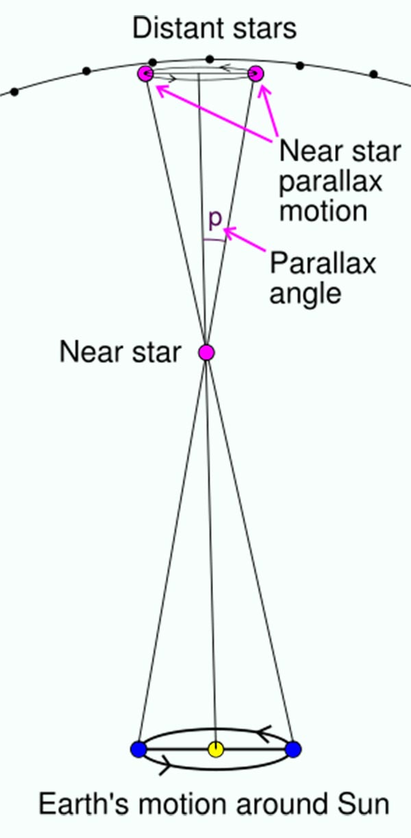 Image of theStellar Parallax diagram.  The apparent motion of a near by star is a small ellipse in the sky relative to background stars over the period of a year.  The angle representing major axis radius of the elliptical path is the parallax angle.  The minor axis radius angle is simply related to the direction of the star relative to the earth's orbital axis.  Stars near the north and south poles will make perfect circles, while stars near the ecliptic will make flat ellipses. 